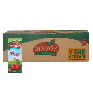 MEYÖZ 1/5 VİŞNE MEYVE SUYU 200 ML*27